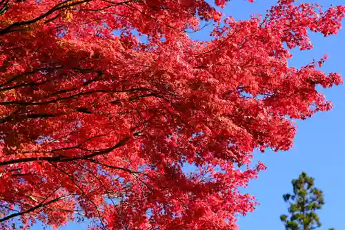 壇上伽藍(和歌山県)