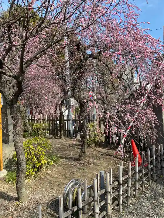 亀戸天神社(東京都)