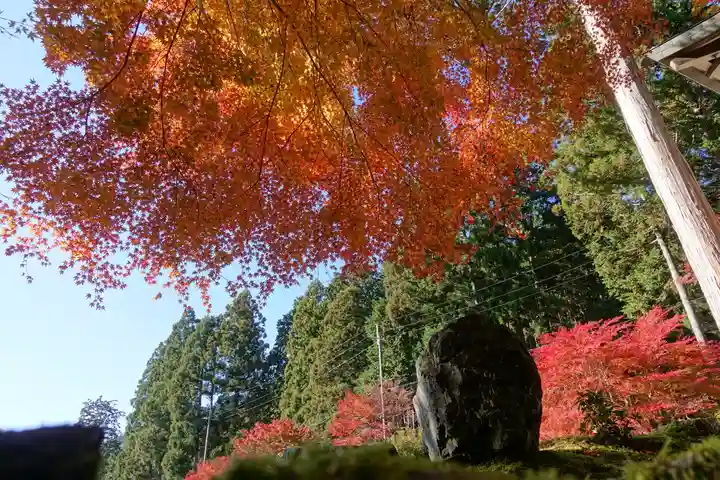 古知谷阿弥陀寺の自然