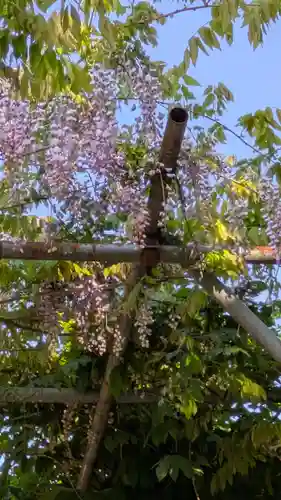 桜山天満宮(京都府)