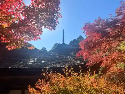 常樂寺(滋賀県)