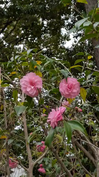 辛國神社(大阪府)