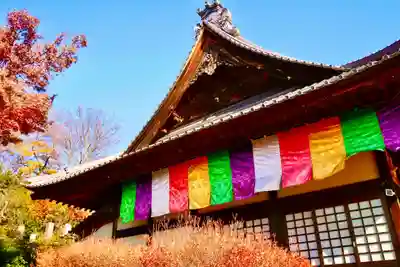 埼玉厄除け開運大師・龍泉寺（切り絵御朱印発祥の寺）の本殿・本堂