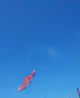 萩園神社の体験その他