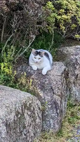 成田山新勝寺の動物