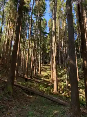 大杉神社の周辺