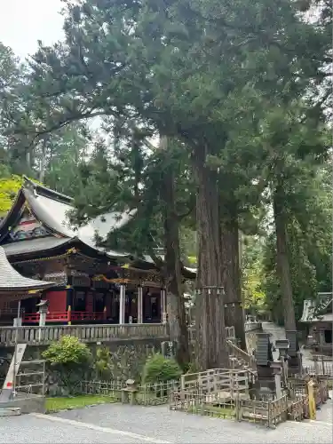 三峯神社(埼玉県)