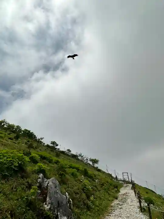 伊吹山(霊峰)(滋賀県)