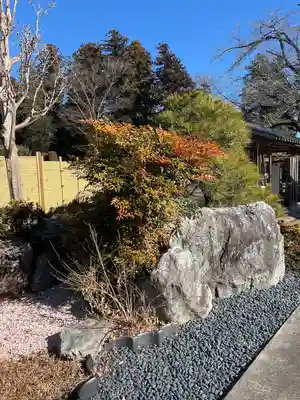 崇真寺(開運犬り切不動尊)(栃木県)