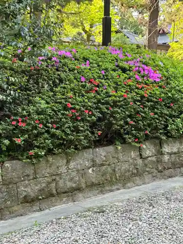 大崎八幡宮(宮城県)