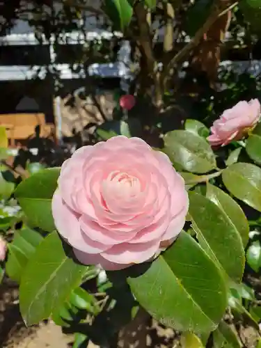 涌谷神社(宮城県)