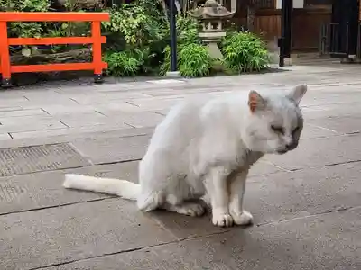 愛宕神社(東京都)