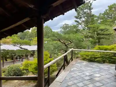 東福禅寺(東福寺)(京都府)