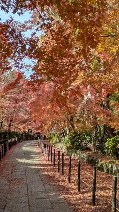 光明寺(粟生光明寺)(京都府)