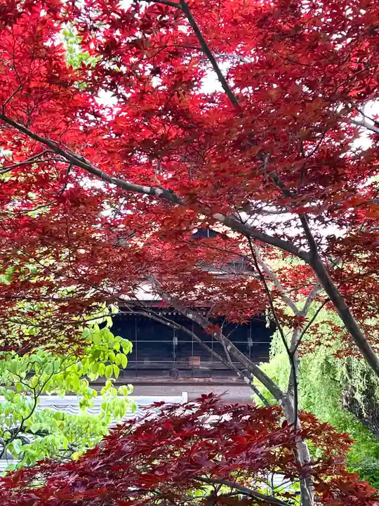 善光寺(長野県)