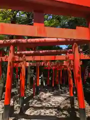 東伏見稲荷神社の鳥居