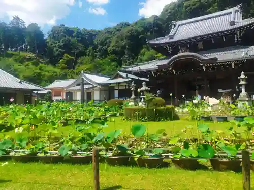 三室戸寺のその他建物