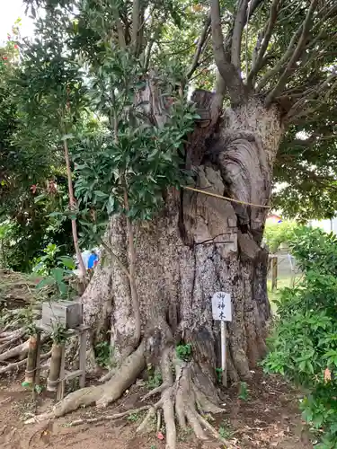 園生神社(千葉県)