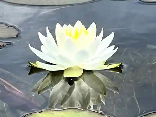 仁科神社(長野県)