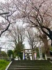 葛西神社の鳥居