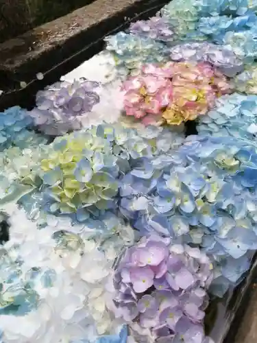 間々田八幡宮の手水舎