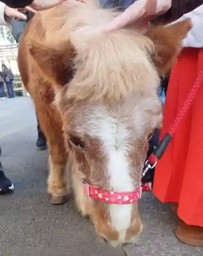 五方山熊野神社(東京都)