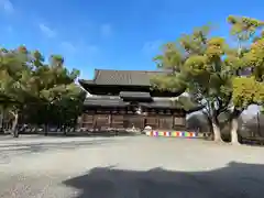 東寺（教王護国寺）(京都府)