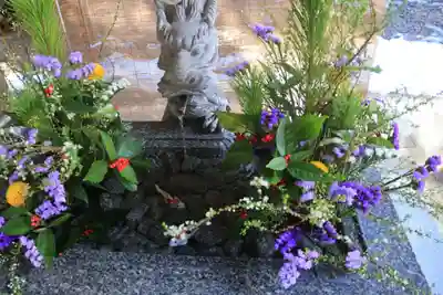 滑川神社 - 仕事と子どもの守り神の手水舎
