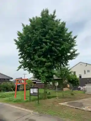 十二天神社(千葉県)