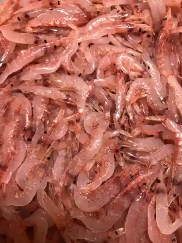 豊積神社(静岡県)