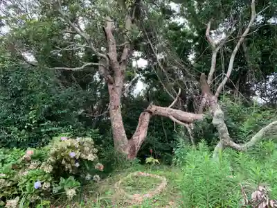 浅間神社の周辺