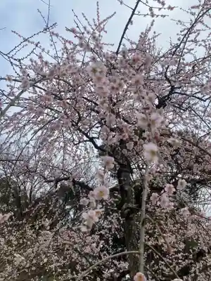 岩津天満宮(愛知県)
