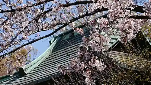 西新井大師総持寺の自然