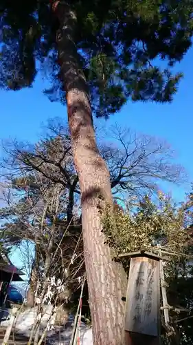 北宮諏方神社の自然