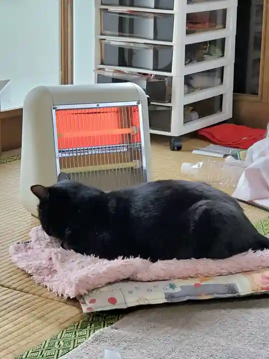 高司神社〜むすびの神の鎮まる社〜(福島県)
