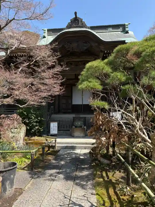 妙法寺の{uncategorized: "未分類", other: "その他", undefined: "問題あり", building: "その他建物", grave: "お墓", sacred_gate: "鳥居", guardian: "狛犬", statue: "像", buddha: "仏像", history: "歴史", nature: "自然", garden: "庭園", animal: "動物", pagoda: "塔", temizu: "手水舎", mountain_gate: "山門・神門", sanctuary: "本殿・本堂", subordinate: "末社・摂社", art: "芸術", scenery: "景色", jizo: "地蔵", ema: "絵馬", goshuin: "御朱印", omikuji: "おみくじ", items: "授与品その他", amulet: "お守り", goshuincho: "御朱印帳", eats: "食事", festival: "お祭り", votive_dance: "神楽", shichigosan: "七五三参", wedding: "結婚式", experience: "体験その他", initially: "初詣", around: "周辺", anti_infection: "感染症対策"}