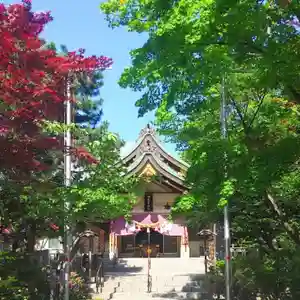 彌彦神社 (伊夜日子神社)の本殿・本堂(2023年06月10日(土) 10時19分20秒投稿)