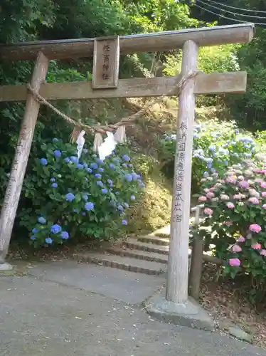 住吉神社の鳥居