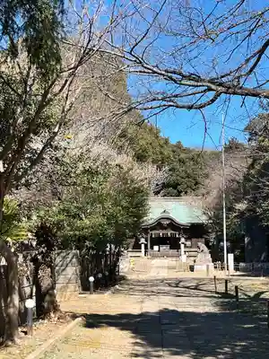 畑子安神社(千葉県)