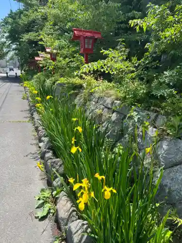 神炊館神社 ⁂奥州須賀川総鎮守⁂(福島県)
