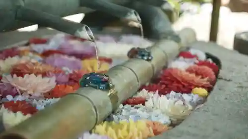 岡寺（龍蓋寺）(奈良県)