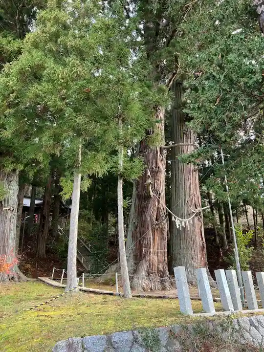夏井諏訪神社(福島県)