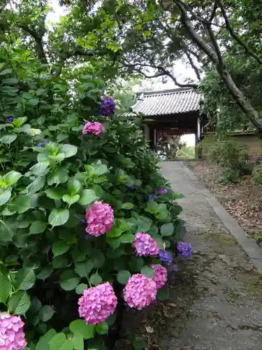 長岳寺(奈良県)