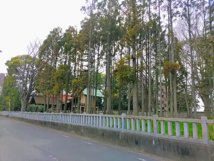 上畠神明社の自然