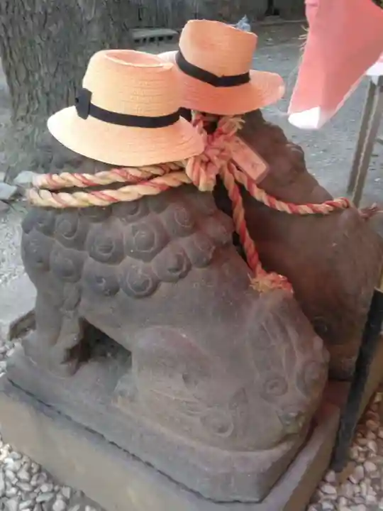 浅草神社の狛犬