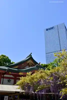 日枝神社の本殿・本堂