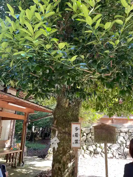 丹生川上神社(下社)(奈良県)