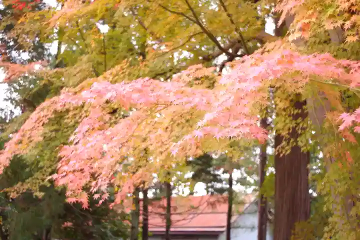 天津神社(新潟県)