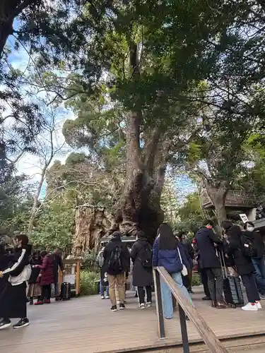 來宮神社(静岡県)