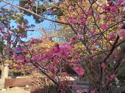 和泉國一之宮　大鳥大社(大阪府)